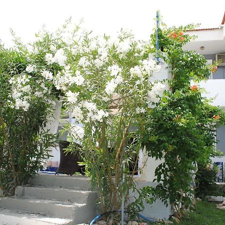 Karmik Concept Apartments Afantou Dış mekan fotoğraf