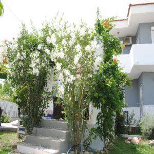 Karmik Concept Apartments Afantou Dış mekan fotoğraf